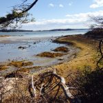 Spring in Maine