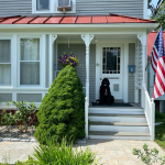 A black dog sits on the porch of a gray house with a red roof and an American flag displayed near the steps.