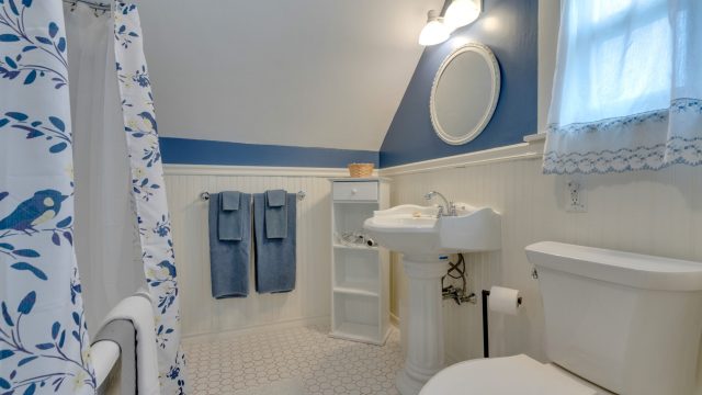 Bathroom with blue and white decor, pedestal sink, toilet, shower curtain with bird design, towels on rack, and white shelving.