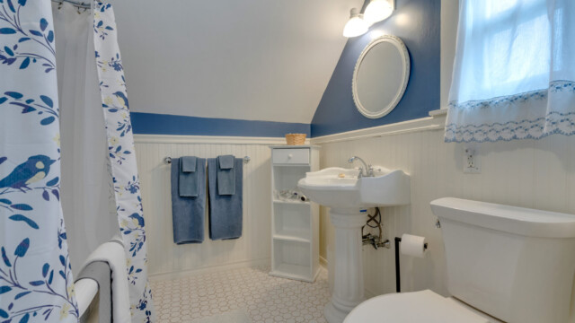Bathroom with blue and white decor, pedestal sink, toilet, shower curtain with bird design, towels on rack, and white shelving.